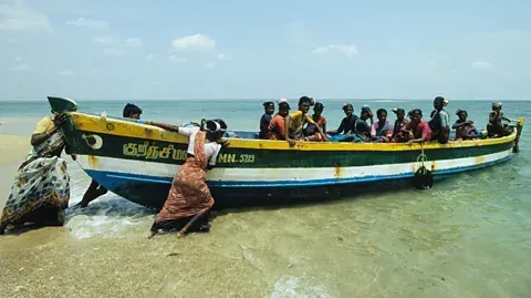 Alamy Seaweed harvesting has become an important source of income to coastal communities, in particular for women (Credit: Alamy) Alamy Seaweed harvesting has become an important source of income to coastal communities, in particular for women (Credit: Alamy)